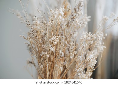 Beautiful dried flowers in a vase on a gray background. dry grass in a transparent vase. gray textured wall. white frame on a gray background
