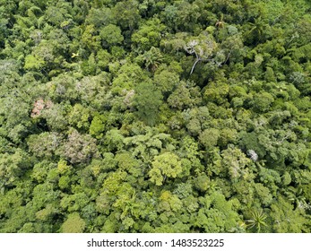 Beautiful  Drone Aerial View Of Tree Tops Of Brazilian Amazon Primary Rainforest In Summer Sunny Day. Concept Of Conservation, Ecology, Biodiversity, Global Warming, Environment And Climate Change.