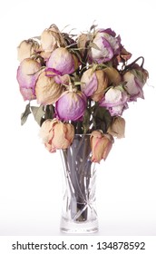Beautiful dry roses in a vase