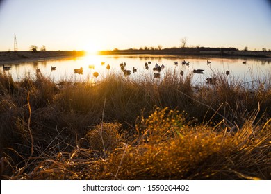 Beautiful Duck Hunting Scene In Front Of A Early Morning Texas Sunrise