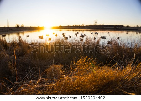 Beautiful duck hunting scene in front of a early morning Texas sunrise