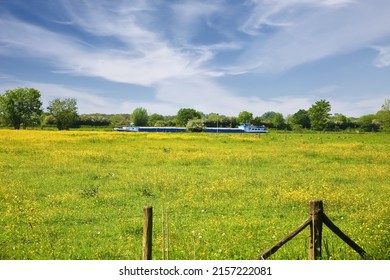 Beautiful dutch rural scenic riverside landscape, green meadow with yellow buttercup flowers, inland waterway vessel on maas river, trees, blue sky - Limburg, Netherlands
