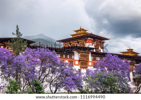 The beautiful Dzong of Punakha shining in the monsoon glory with purple trees to compliment. 商業照片 © 
