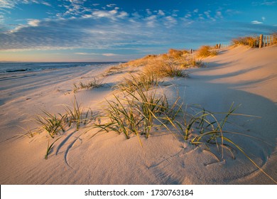 Beautiful early morning beach scene with tufts of grass amid the sand dues on Long Beach Island