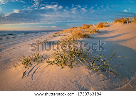 Beautiful early morning beach scene with tufts of grass amid the sand dues on Long Beach Island