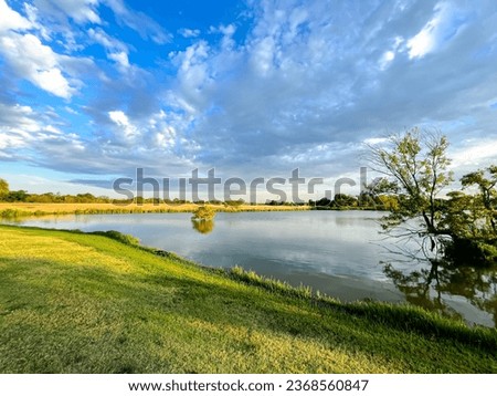 Beautiful early morning at local pond lake with idyllic tranquil calm water and flood cypress tree, nature scenery recreation park near Dallas, Texas, USA. Grassy lawn bank recently mowed landscape