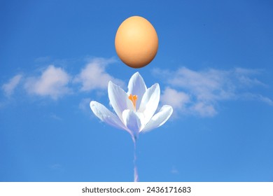 Beautiful easter concept. Creative easter design with egg, white crocus and blue sky background.
