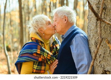 A Beautiful Elderly couple embracing in autumn park - Powered by Shutterstock