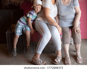 Beautiful Elderly Woman With Wrinkles, Young Girl And Boy From Same Family. Three Different Ages Of Similar People. Mother, Adult Daughter And Grandson In Identical Hats On Background Of Dry Flowers