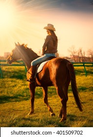Beautiful elegance back woman cowgirl, riding a horse. Clothed blue jeans, brown leather jacket and hat. Has slim sport body. Portrait nature. People and animals. Equestrian. Amazing sunset.