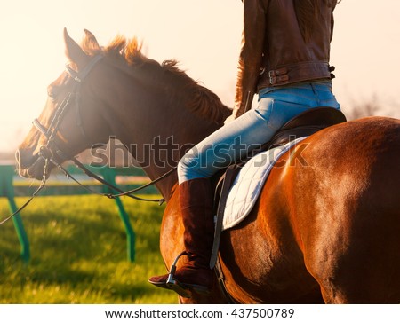Beautiful elegance back woman cowgirl, riding a horse. Equestrian. Close up.