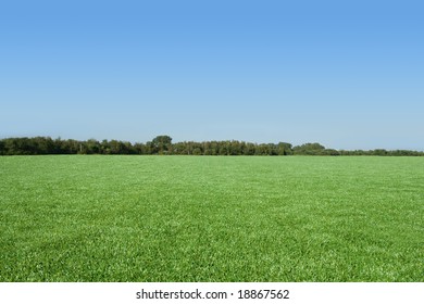 Beautiful Empty Grass Field