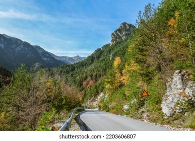 Beautiful Empty Mountain Roadway. Colorful Landscape With Road Through The Woods In Autumn. Travel In Greece. Road Trip. 