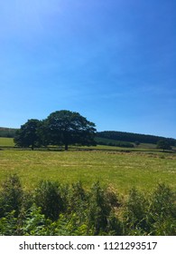 Beautiful English Countryside In Summertime, Taken In The Peak District, Derbyshire, Near Chatsworth House