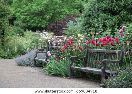 beautiful english garden with a variety of flowers including roses and poppies - English Garden Flowers beautiful english garden with a variety of flowers including roses and poppies - English Garden Flowers
