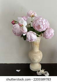 Beautiful English Roses In Cottage