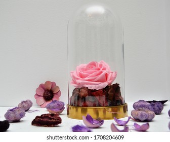 Beautiful Eternal Pink Rose In Glass Dome