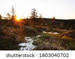 Beautiful European best slope bogs in Riisitunturi National Park, Lapland during a beautiful summer sunset, Northern Finland.	