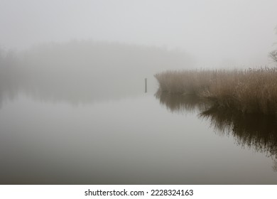 Beautiful European landscape misty morning scene of nature over the lake. View of Forest lake in fall to winter season from Netherland . - Powered by Shutterstock
