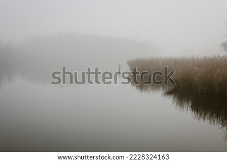 Beautiful European landscape misty morning scene of nature over the lake. View of Forest lake in fall to winter season from Netherland .