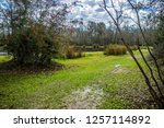 Beautiful Evangeline Pond in St. Martinville, Louisiana