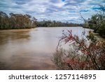 Beautiful Evangeline Pond in St. Martinville, Louisiana