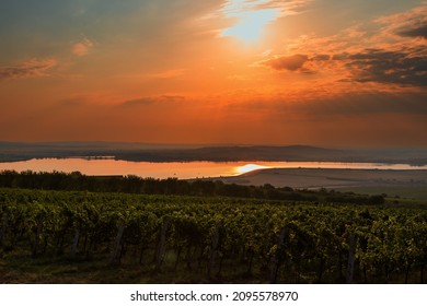 Beautiful evening landscape. View of Pálava - Moravia - Czech Republic. Lake Musov and vineyards at sunset.