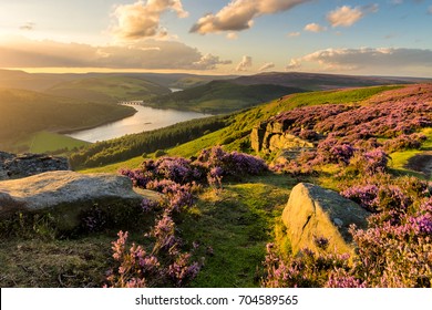 Beautiful Evening Light On A Summer Evening At Bamford Edge In The Peak District National Park.