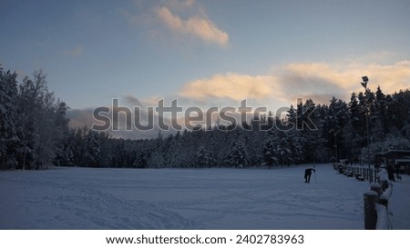 A beautiful evening view of the ski track in the forest meadow.  A meadow with a ski track in the foreground, a wooden fence on the right and a skier 