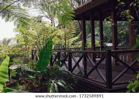 Similar – resting place Plant Grass