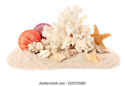 Beautiful Exotic Sea Coral, Shells And Sand On White Background