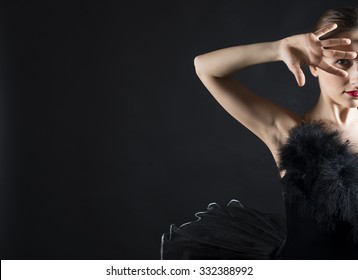 2,454 Black swan ballerina Images, Stock Photos & Vectors | Shutterstock