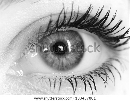 Similar – eye droplets Eyes Eyelash