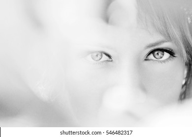 Beautiful Eyes Of A Young Woman