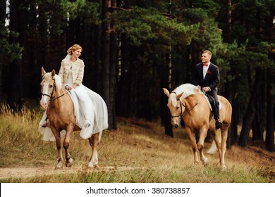beautiful fabulous happy bride and stylish groom riding horses and lovely looking each other on the background of the autumn forest