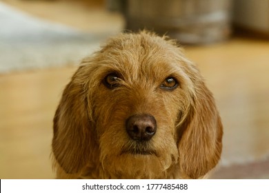 Bretagne High Res Stock Images Shutterstock Bretagne High Res Stock Images Shutterstock