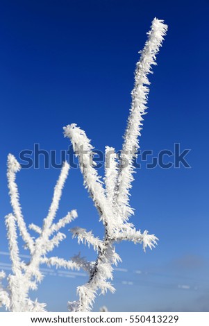 Similar – Foto Bild Erogene Zone Natur Himmel