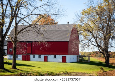 Beautiful fall autumn country landscape. Red and white barn well maintained. Green grass lawn. Trees losing leaves changing foliage. Bare branches. October sunny day. Farm farming countryside rural. - Powered by Shutterstock