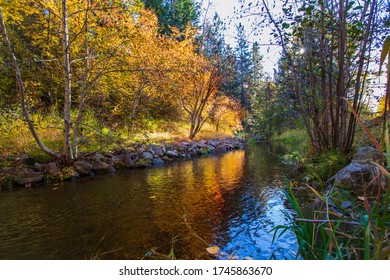 Beautiful Fall Colors Along A Creek In Kelowna BC