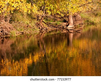 Beautiful Fall Colors Reflect Off Kishwaukee Stock Photo 77153977 ...