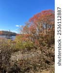 A beautiful fall day at Morraine State Park in Butler County