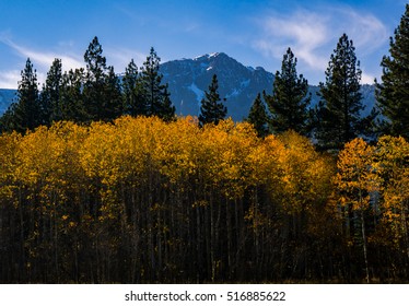 Beautiful Fall Day In South Lake Tahoe.