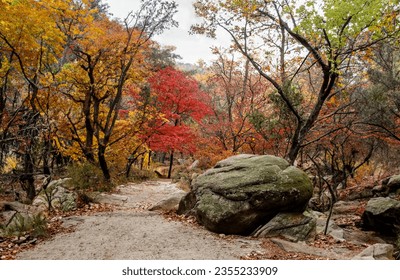 Beautiful fall foliage in mountain valleys and hiking trails - Powered by Shutterstock