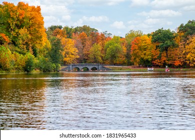 Beautiful Fall Foliage in Sharon Woods Park in Cincinnati, Ohio