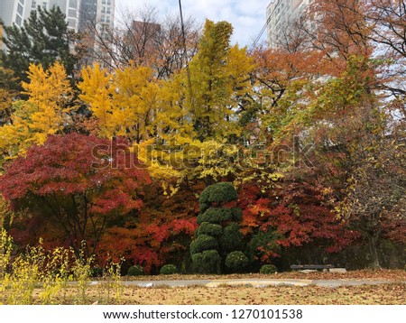 Similar – Image, Stock Photo Autumn is here Environment