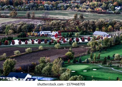 Beautiful Fall Mount Nemo Burlington