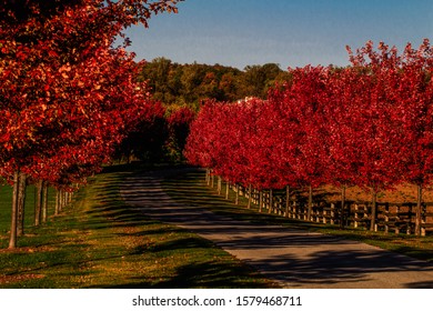 Beautiful Fall Mount Nemo Burlington