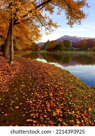 Beautiful Fall Pathway By The Lake In Black Mountain NC