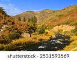 Beautiful fall scene with a mountain backdrop  next to the south platte river  in  waterton canyon, littleton, colorado  