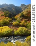 Beautiful fall scene with a mountain backdrop  next to the south platte river  in  waterton canyon, littleton, colorado  